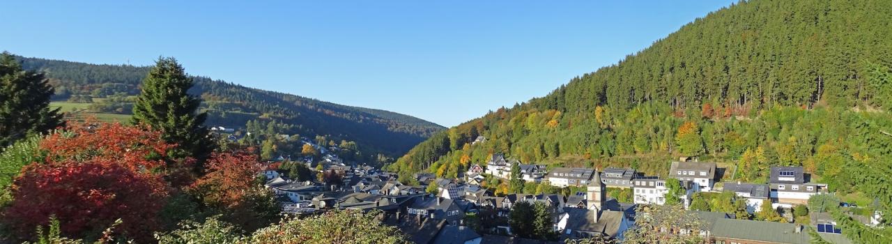 Willingen