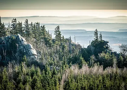 Harz
